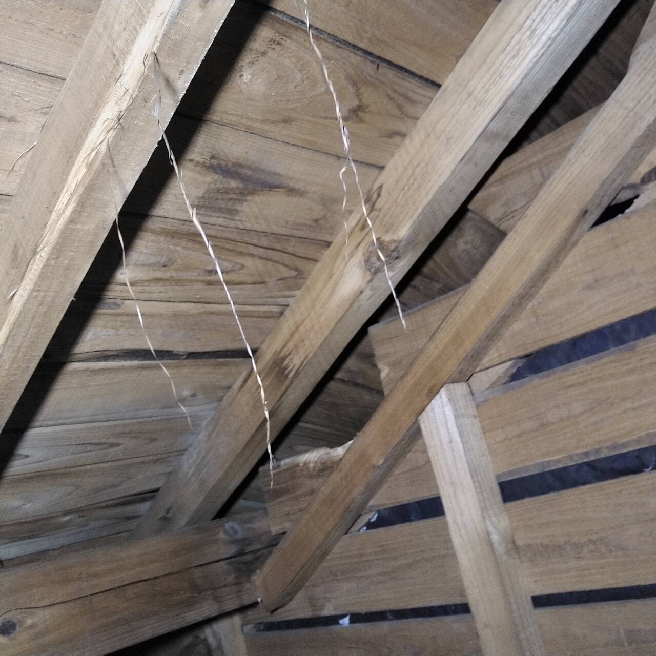 こんな状態の屋根は葺き替え工事がおすすめ